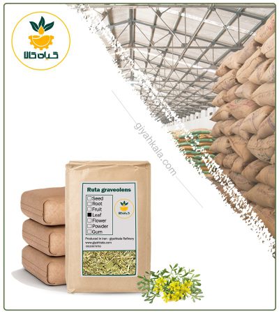 Bulk Dried Rue (Ruta Graveolens)