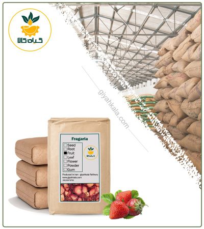 Bulk Dried Strawberry