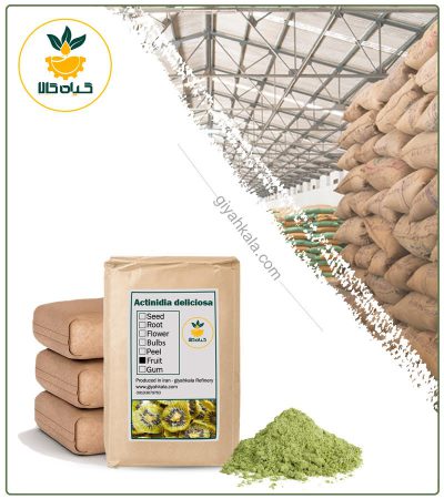 Bulk Kiwi Powder