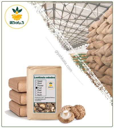 Bulk Dried Shiitake Mushroom