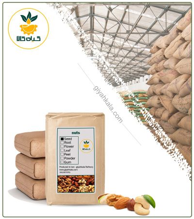 Mixed nuts (Cashews, Pistachios, Almonds, Hazelnuts) in Bulk