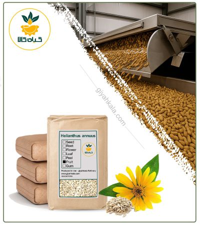 Bulk Raw Sunflower Seed Kernel