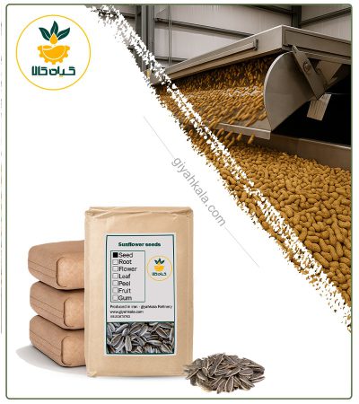 Bulk Roasted Sunflower Seed