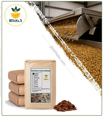 Bulk Ketchup Sunflower Seed