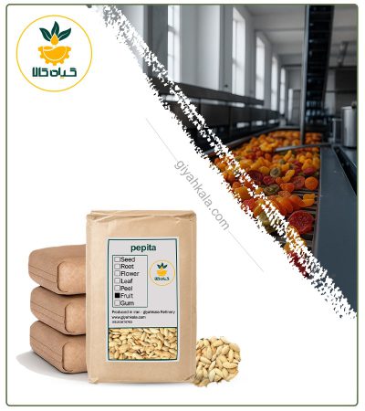 Bulk Raw Pumpkin Seed (Nutty-size)