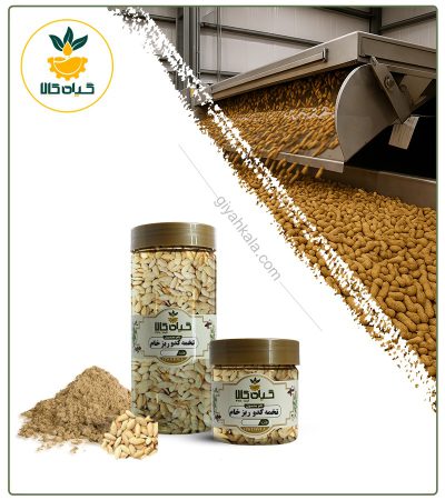 Packaged Raw Pumpkin Seed (Nutty-size)
