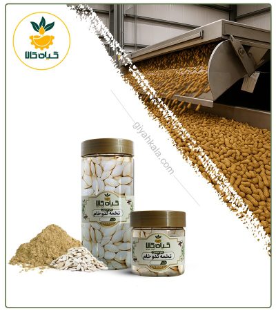 Packaged Raw Pumpkin Seed