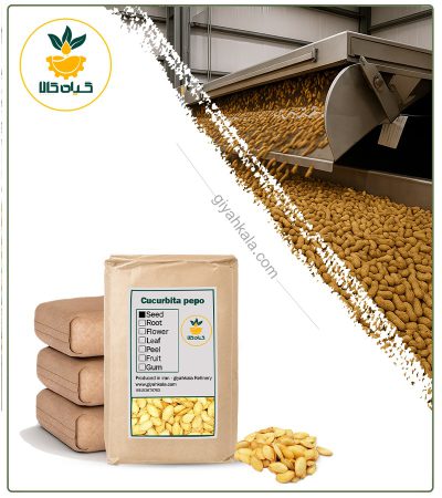 Bulk Roasted Pumpkin Seed