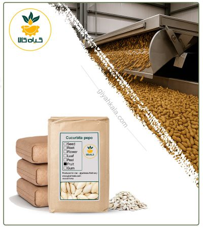 Bulk Raw Pumpkin Seed