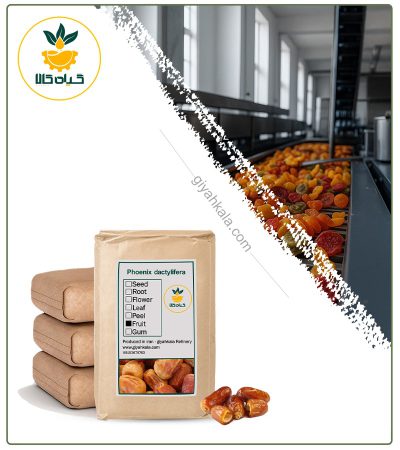 Bulk Dried Zahedi's Dates