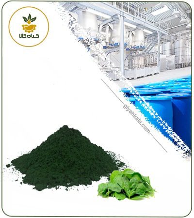 Powder Green Food Coloring