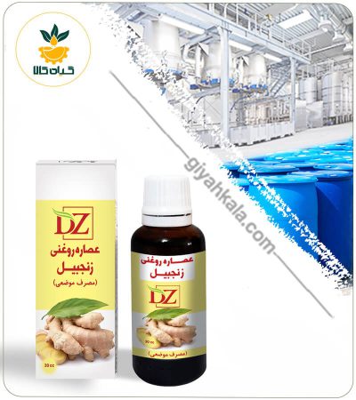 Ginger Oil Extract