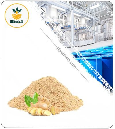 Ginger Powder Extract