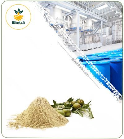 Olive Powder Extract