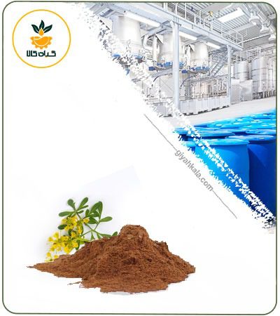 Rue ( Ruta Graveolens) Powder Extract