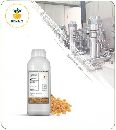 Turpentine Oil (Based)