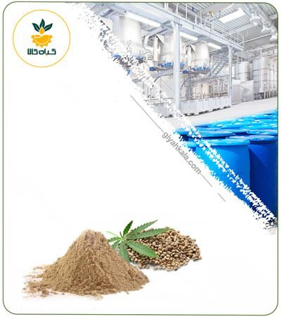 Hemp Powder Extract