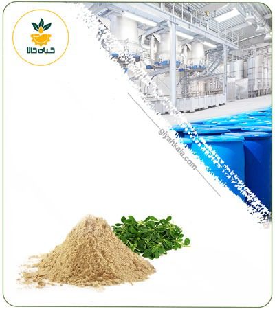 FenugreeK Powder Extract