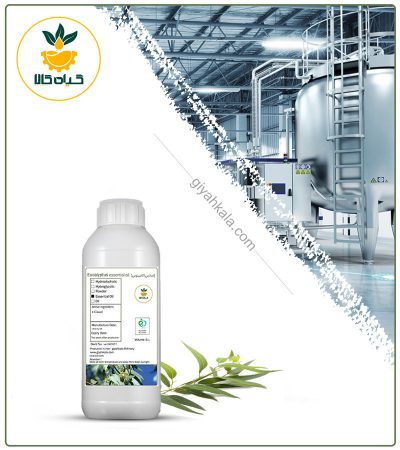 Edible Eucalyptus Flavoring