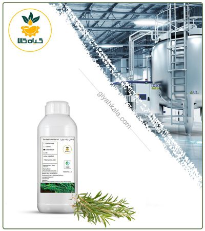 Edible Tea Tree Flavoring