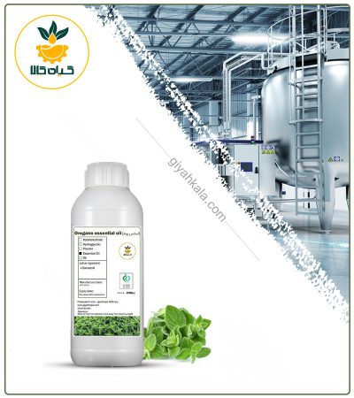 Edible Pennyroyal Flavoring