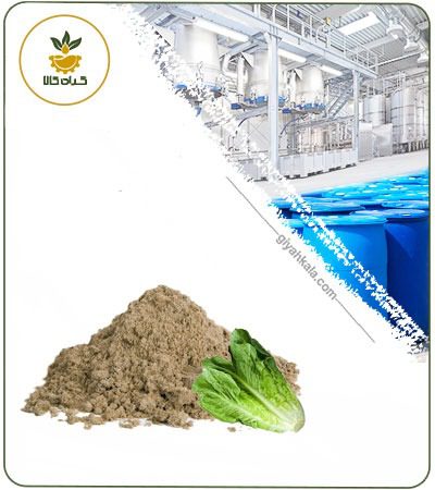 Lettuce Seed Powder Extract