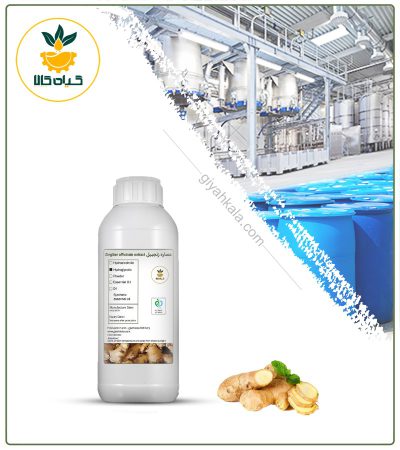 Ginger Liquid Extract