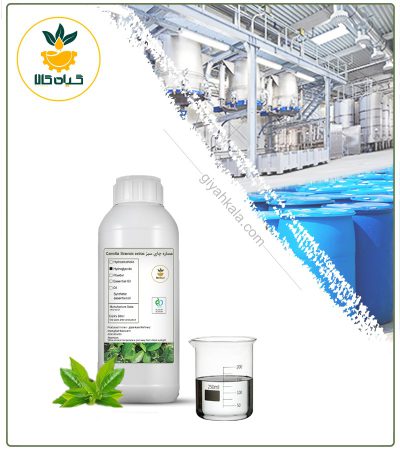 Cosmetic Green Tea Liquid Extract (Colorless)