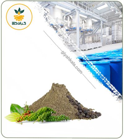 Black Pepper Powder Extract