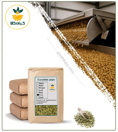 Bulk Raw Pumpkin Seed Kernel