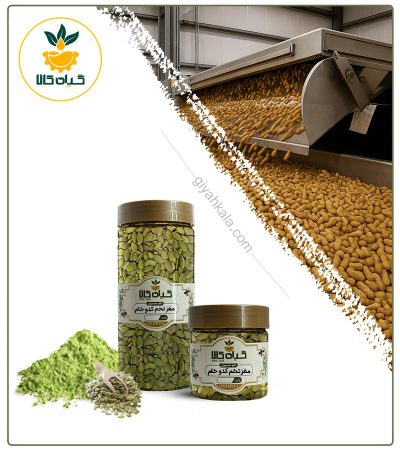 Packaged Raw Pumpkin Seed Kernel