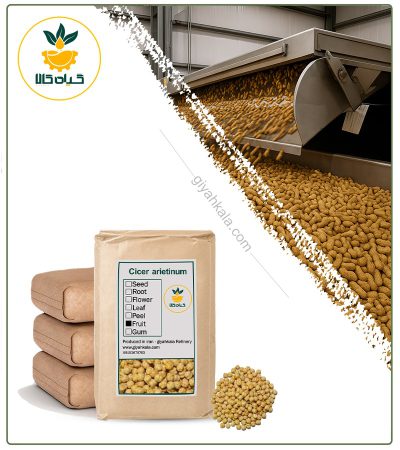 Bulk Raw Chickpea