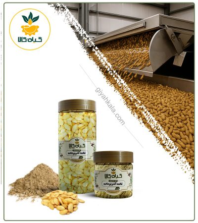 Packaged Roasted Pumpkin Seed