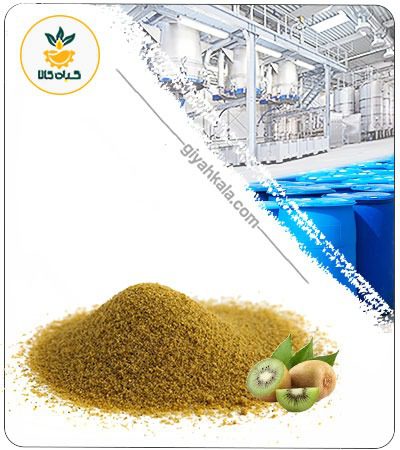 Kiwi Powder Extract