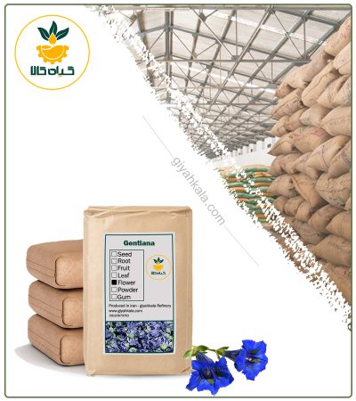 Bulk Dried Gentian (Gentiana Lutea) Flower