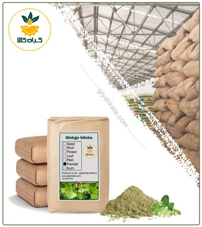 Bulk Gingko Powder