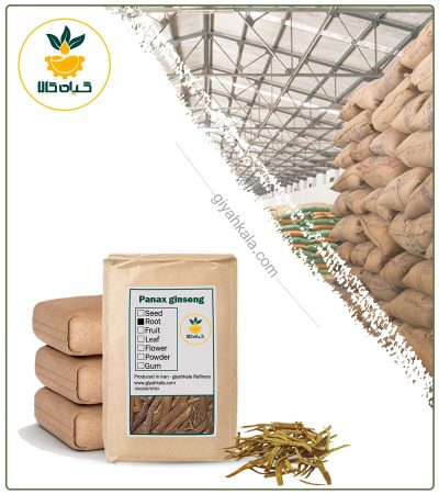 Bulk White Ginseng Root Powder