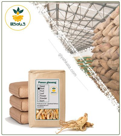 Bulk Dried White Ginseng Root