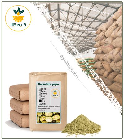 Bulk Zucchini Powder