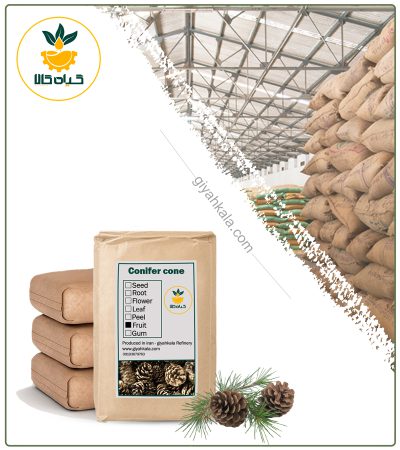 Bulk Dried Maritime Pine Nuts
