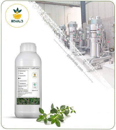 Edible Kakouty (Ziziphora) Flavoring