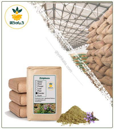 Bulk Ziziphora (Kakouty) Powder