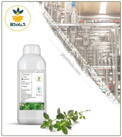 Natural Kakouty (Ziziphora) Essential Oil