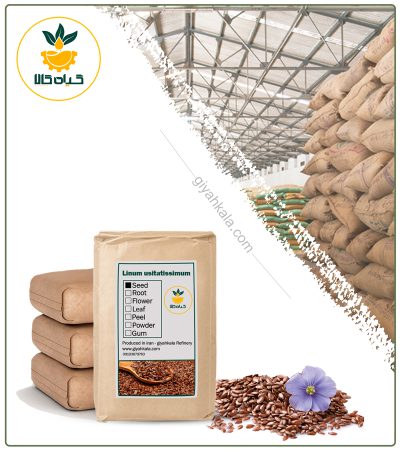 Bulk Dried Flax Seeds