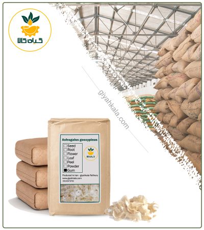 Bulk Dried Plantain Seeds