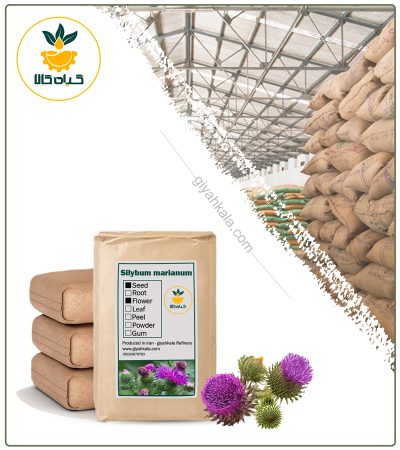 Bulk Dried Milk Thistle Plant