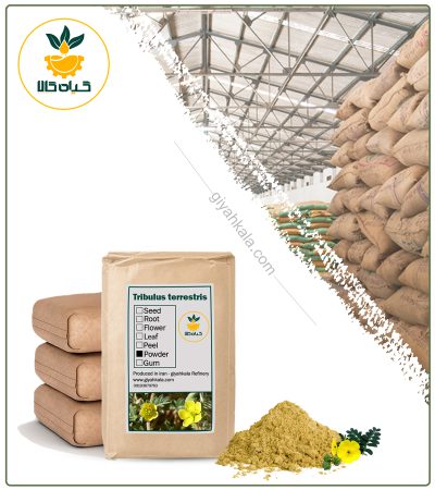Bulk Bindii (Tribulus Terrestris) Powder