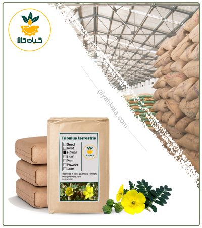 Bulk Dried Bindii (Tribulus Terrestris)