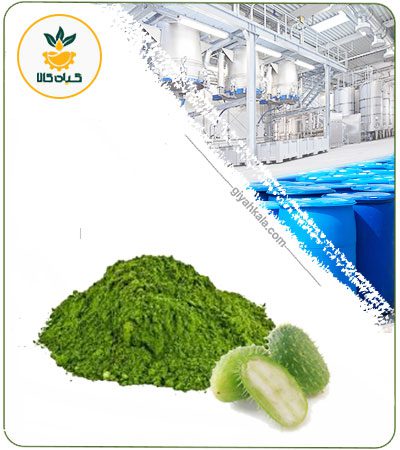 Squirting Cucumber (Ecballium) Powder Extract
