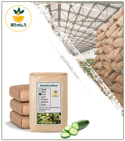 Bulk Dried Cucumber Fruit